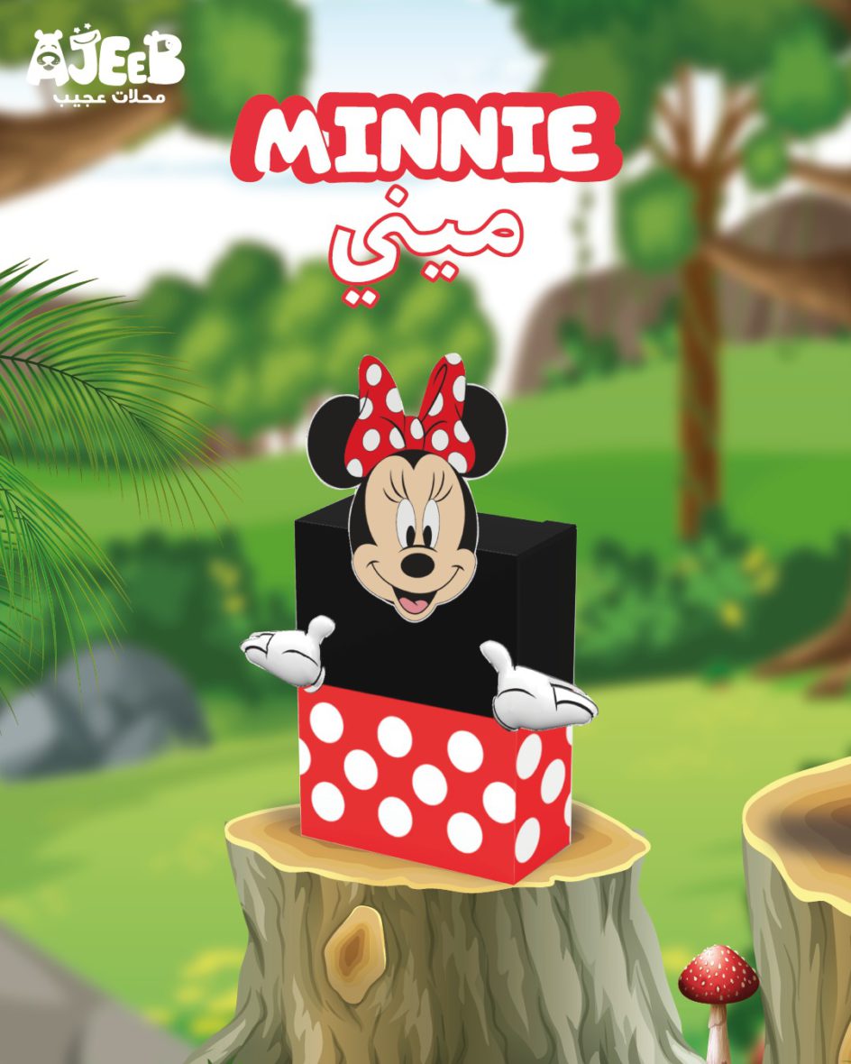 MINNI MOUSE PACKING